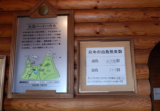 飛来数