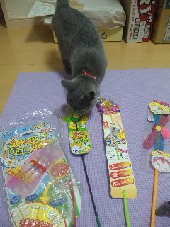2012-03-26 00:07:33