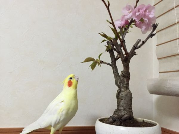 rblog-20160323181006-01.jpg