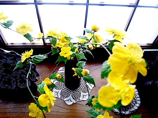 120405_133024.jpg