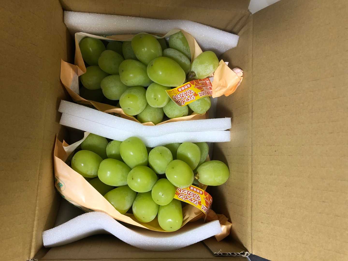 カーポートでブドウ栽培 菜園暮らし庭の花 楽天ブログ