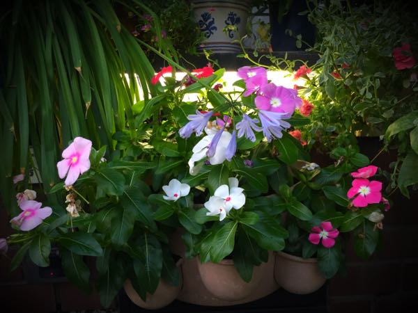 rblog-20160710211216-06.jpg