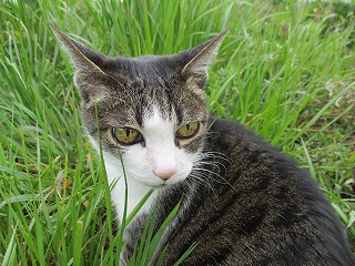 IMG_8881ss.jpg