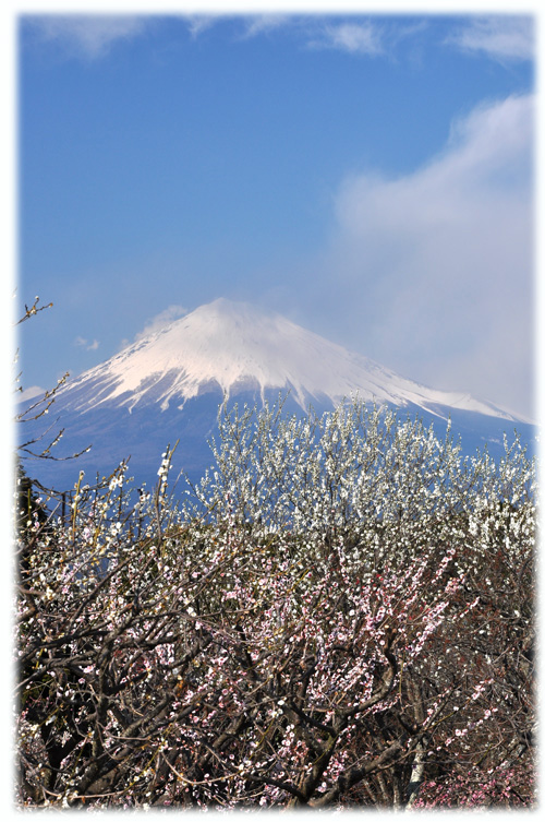 富士山１