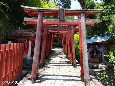 20160523 有明湾干潟14