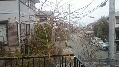 rblog-20180305050606-01.jpg