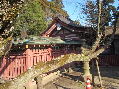 神社２１－１境内.jpg