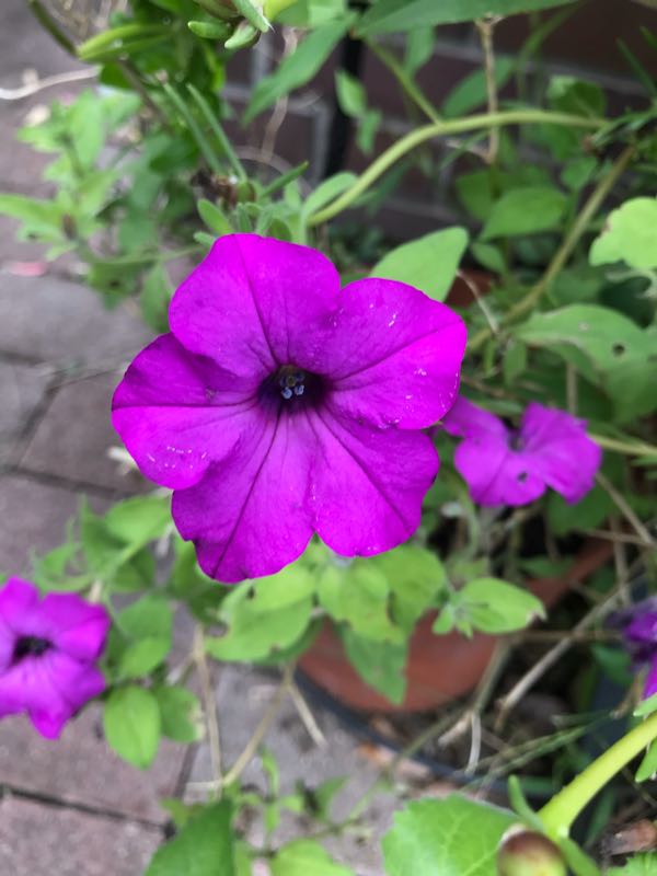 rblog-20180928161205-04.jpg