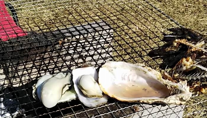 九十九島かき食うカキ祭りに参加です ベルポンのうふふ２ 楽天ブログ