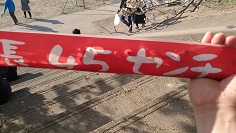 2014桜.jpg