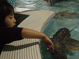 20111224105631.jpg