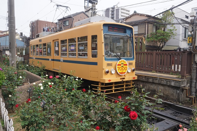 都電 7022 & 9002 昭和レトロ 三ノ輪橋4