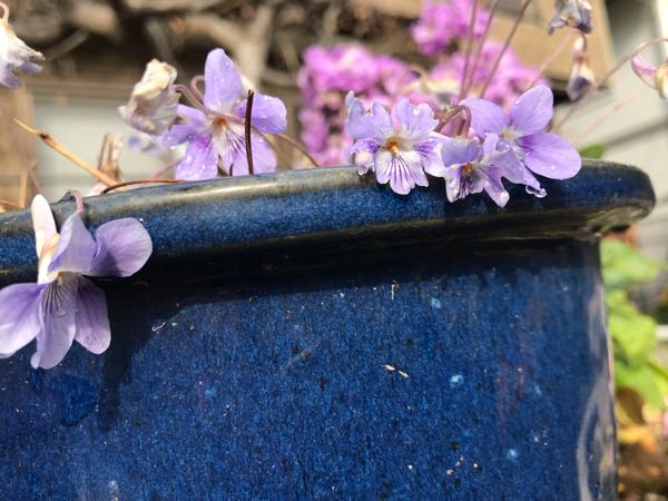 rblog-20190401163710-05.jpg