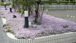 P1020581.JPG