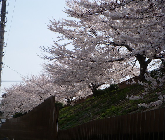 DSCN3821.JPG