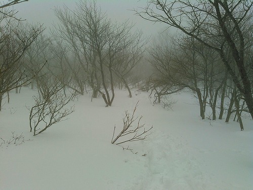 2015021北泉ヶ岳泉ヶ岳へ向かう.jpg