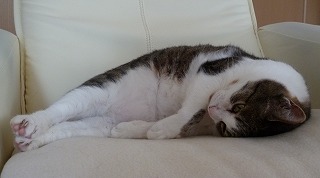 P1070075-ass.jpg