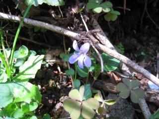 IMG_1791.jpg