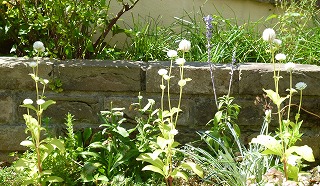 P1220462-ass.jpg