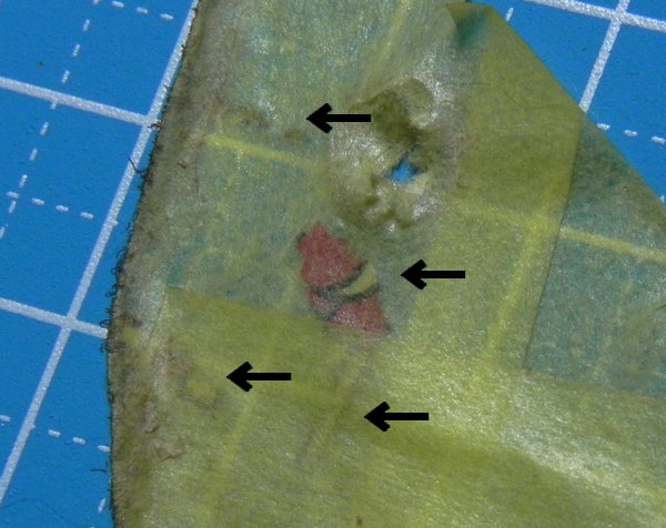 030.jpg