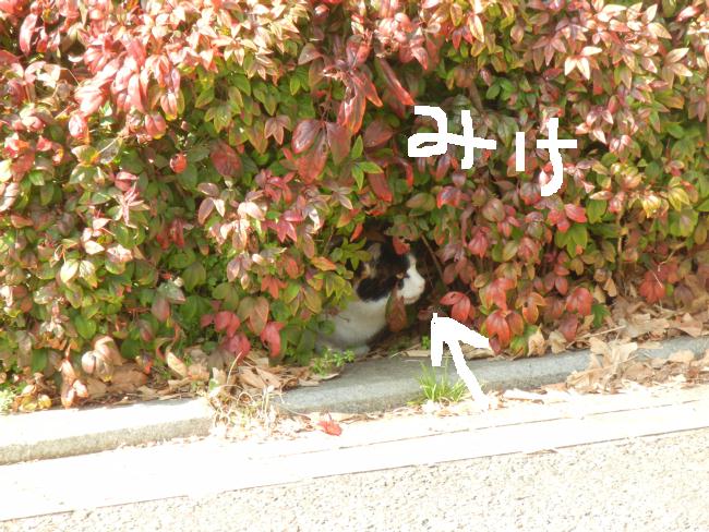 DSCN5025.JPG