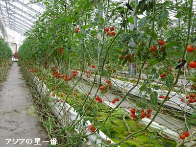 20160627 満韓峰17