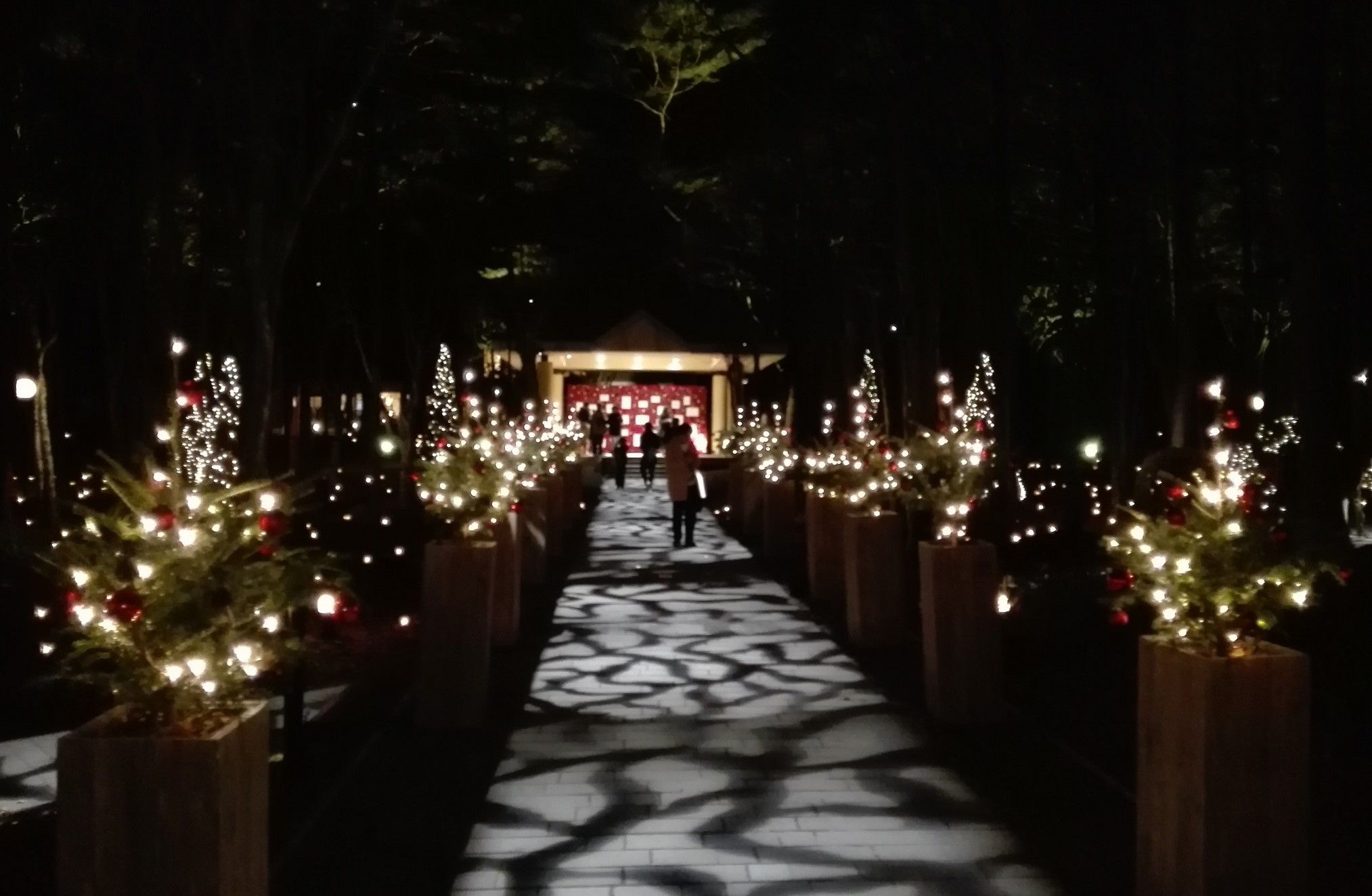 星野リゾート 軽井沢高原教会 昼 夜 石の教会 19年 クリスマス イルミネーション ラスベガス ロサンゼルスの旅 楽天ブログ