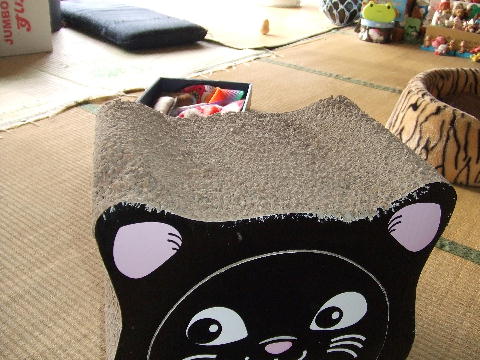 猫４.JPG