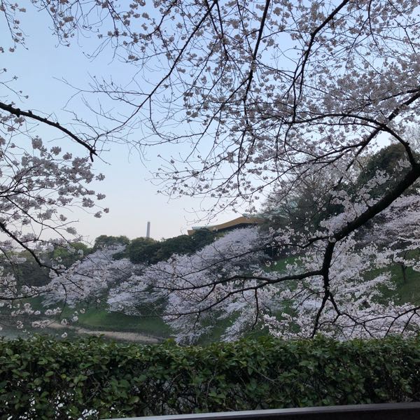 rblog-20180328230829-01.jpg