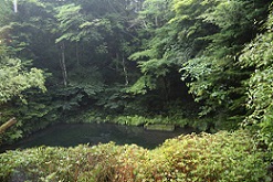 5DA_6235-13.jpg