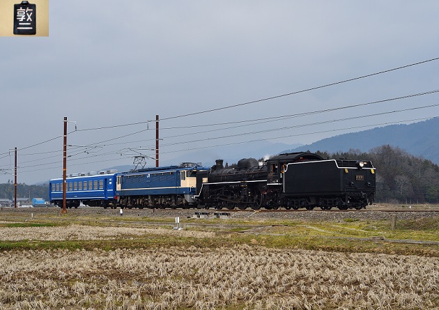 32 D500.jpg