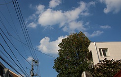 IMG_7766-19.jpg