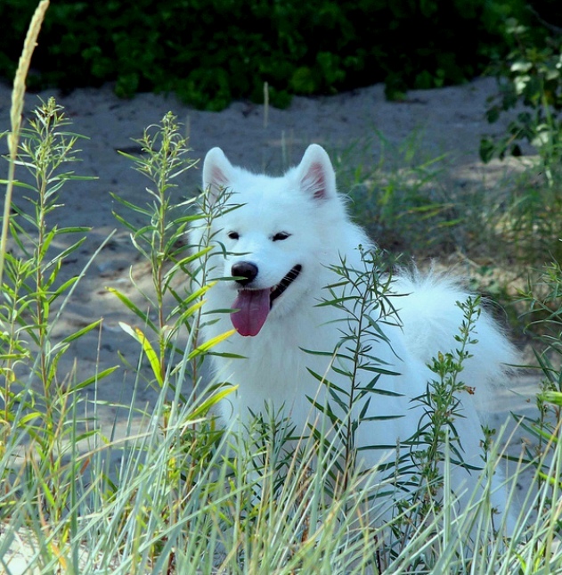 0706 windy00.jpg