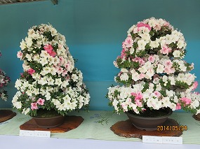 IMG_3132b.jpg