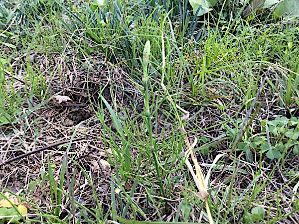 rblog-20181021224042-05.jpg