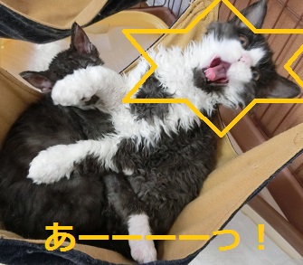 1218