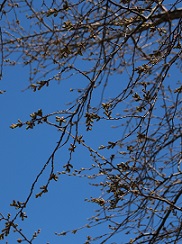 IMG_3219-22.jpg