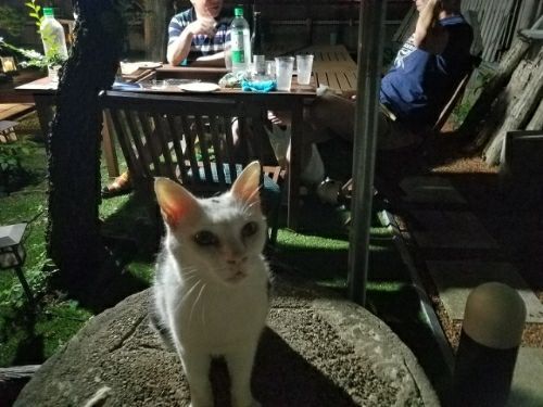 rblog-20180726105005-02.jpg