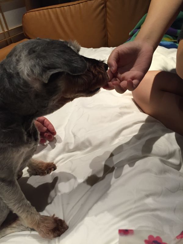 rblog-20160925223233-08.jpg