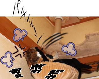 IMG_0500.png