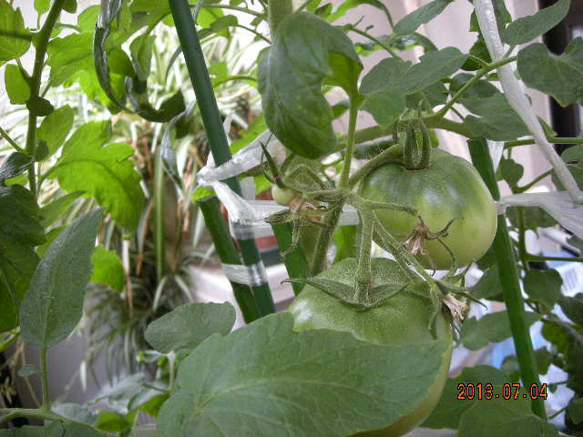 DSCN9325.JPG