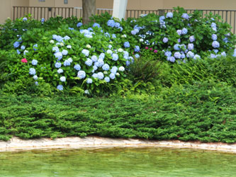 \2012Flower52