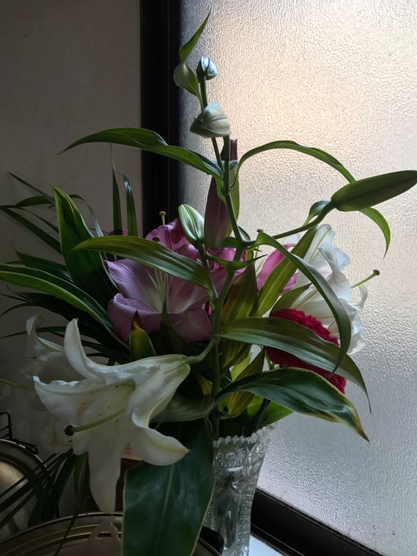 rblog-20170408104206-02.jpg