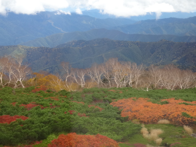 紅葉−2
