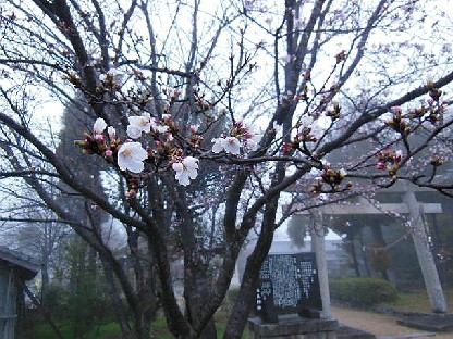 DSCN2048.jpg