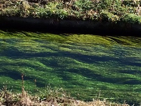 image1.jpg