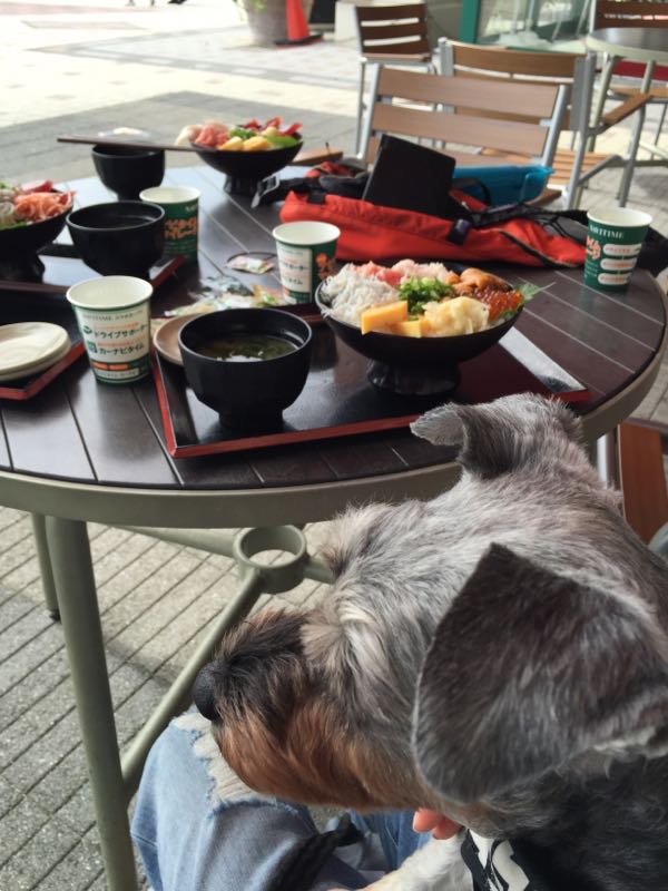 rblog-20160925230022-04.jpg
