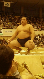 鶴竜.jpg