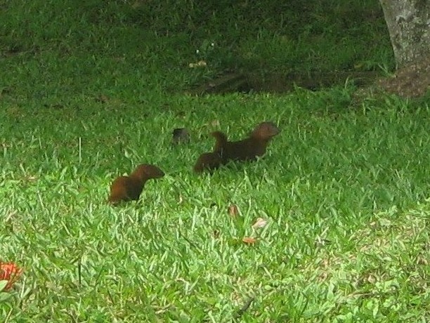 IMG_2704.JPG