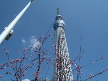 スカイツリー